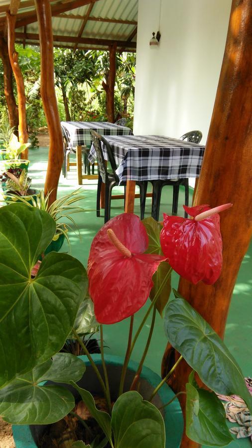 Amaya River Side Homestay Сигирия Экстерьер фото